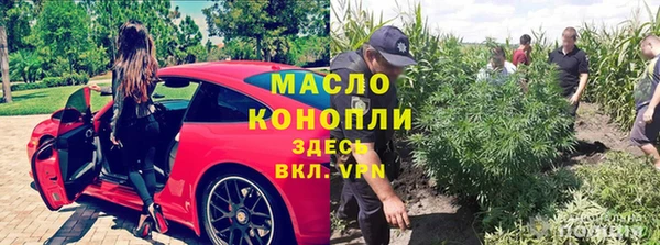 прущие крисы Надым