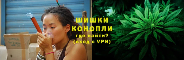 прущие крисы Надым