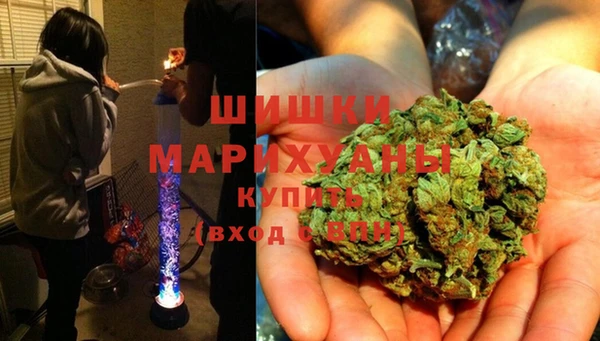 ГАЛЛЮЦИНОГЕННЫЕ ГРИБЫ Наволоки