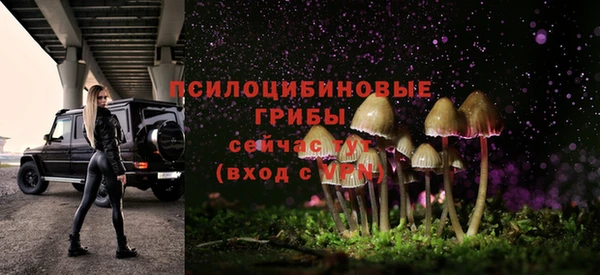 ГАЛЛЮЦИНОГЕННЫЕ ГРИБЫ Наволоки