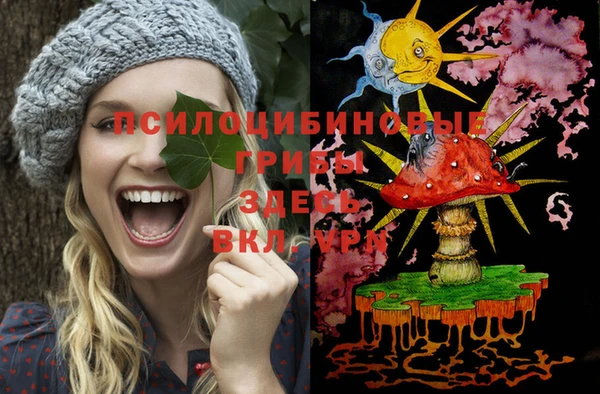 прущие крисы Надым