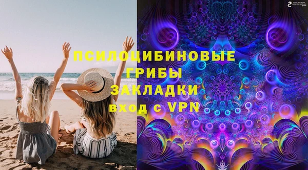ГАЛЛЮЦИНОГЕННЫЕ ГРИБЫ Наволоки