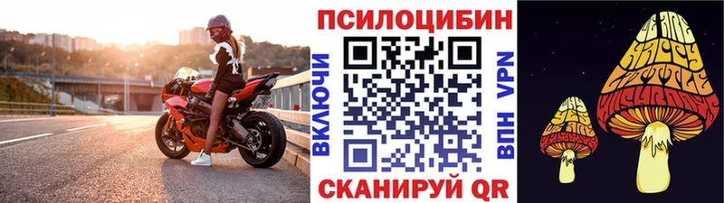 Псилоцибиновые грибы Cubensis  хочу наркоту  Железногорск 