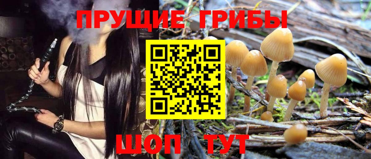 Галлюциногенные грибы Magic Shrooms Железногорск